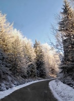 TimiÅŸoara nach Muntele Mic 1 Tag Skiausflug für Anfänger - Hizvo