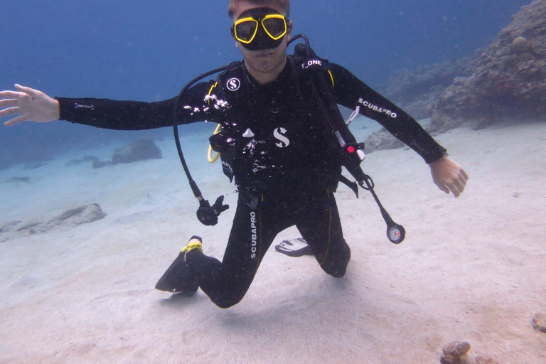 Mauricio: aventura de buceo de 3 horas en la costa esteMauricio: aventura de buceo de 3 horas en la costa oeste