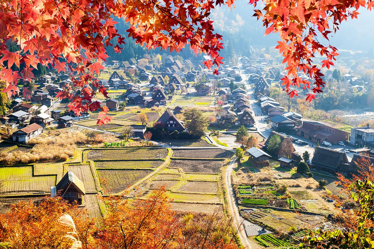 Hida Takayama, Shiragawago UNESCO tour de día completo desde Nagoya