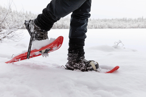 Nuuksio National Park Snowshoe Hike with Lunch & Pickup