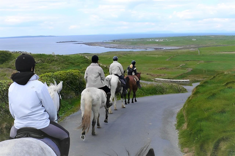 Horse riding the mountain trail. Clare. Guided, 2 hours