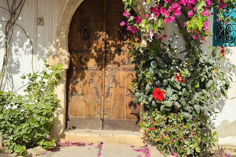 Full-Day Guided Djerba Island Tour & Crocodile Park + Lunch