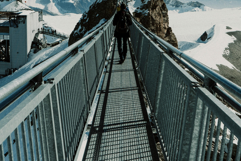 Glacier 3000 & Château d'Aigle - Private Van from Montreux