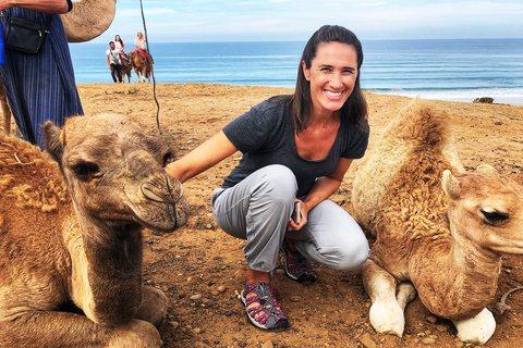 Tangier Private Half-Day Tour + Camel Ride + Add-on: Lunch