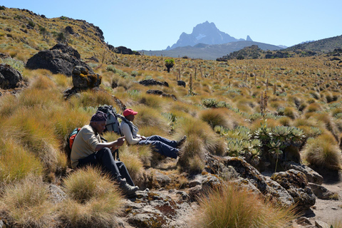 Excursion d&#039;une journée dans le parc national du Mont KenyaMT Kenya randonnée