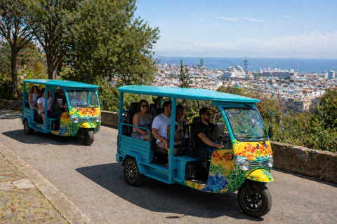 Barcelona: Private Electric Tuk Tuk Sightseeing Tour with Local Driver-Guide Barcelona: 3-Hour Private E-Tuk-Tuk Tour with a Local Guide