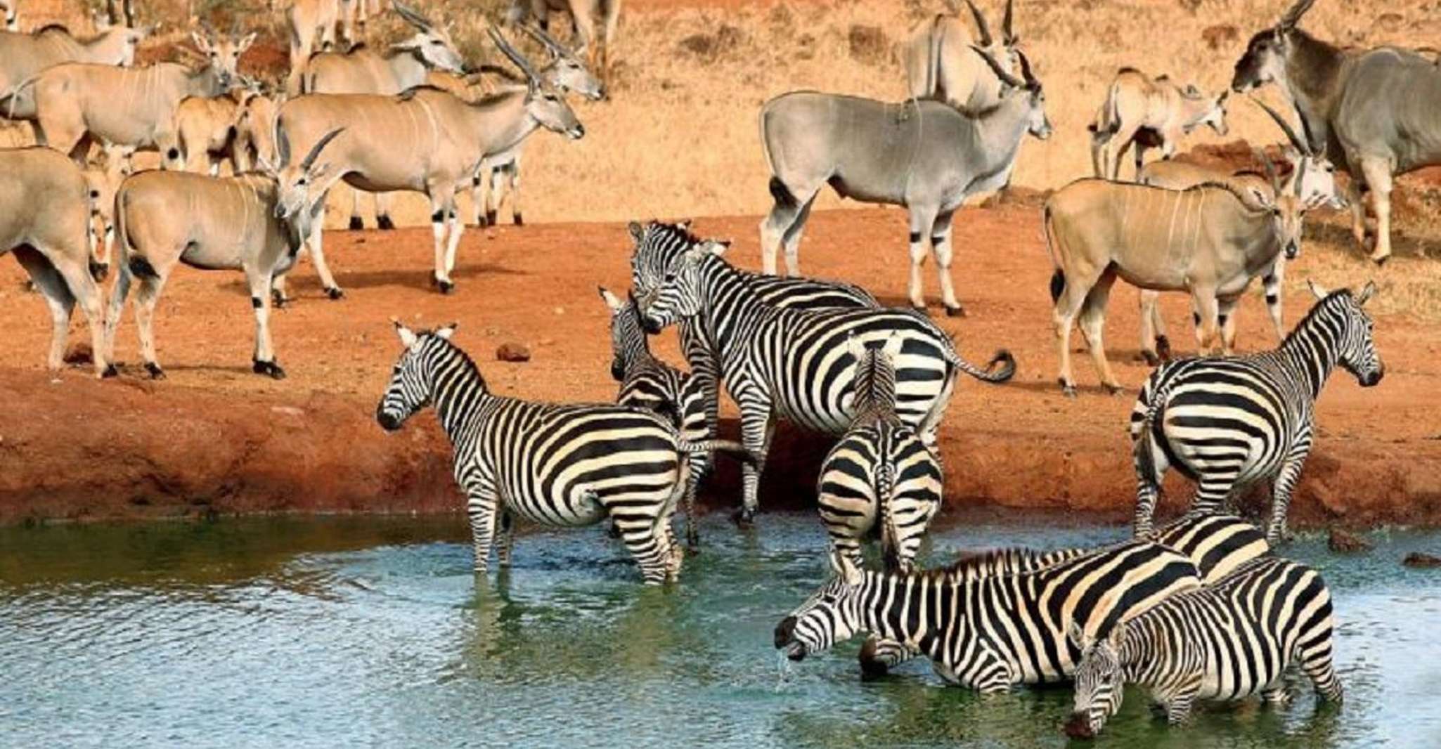 5 days safari to Tsavo East, West & Amboseli from Mombasa - Housity