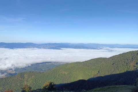 Chiang Mai: Excursión de un día al Parque Nacional de Doi Inthanon con Senderismo