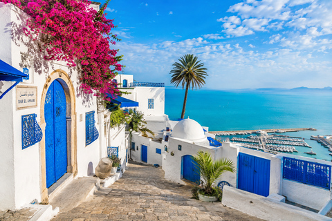 Hammamet: Carthage, Sidi Bou Said, and the Medina of Tunis with lunch