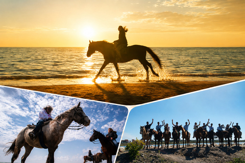 Agadir: Beginner Horse Ride Along the Souss River