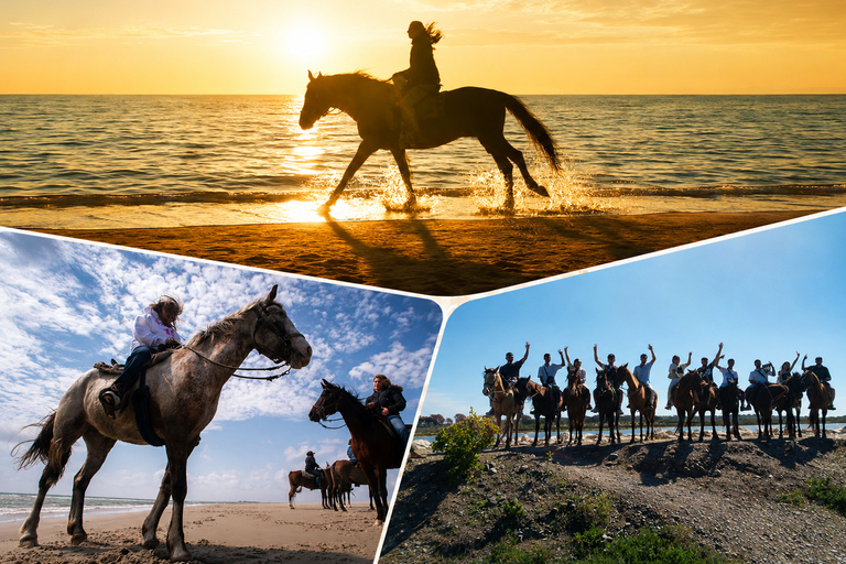 Agadir: Beginner Horse Ride Along the Souss River