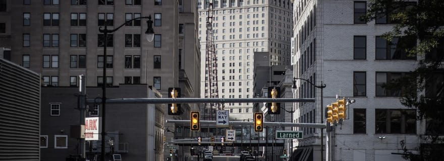 Visite touristique privée de Détroit avec chauffeur journalier