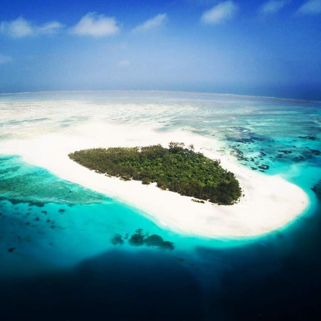 Turtle Snorkeling Tour, Zanzibar Horseback riding GetYourGuide