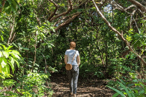 Zanzibar: Jozani Forest, Spice Farm & Stone Town Full-Day. TOUR WITH HOTEL TRANSFER PICKUP AND DROP