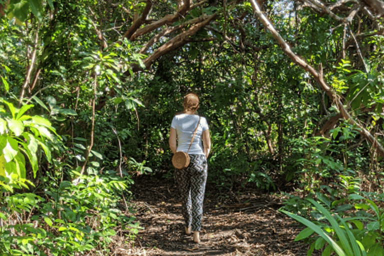 Zanzibar: Jozani Forest, Spice Farm & Stone Town Full-Day. TOUR WITH HOTEL TRANSFER PICKUP AND DROP