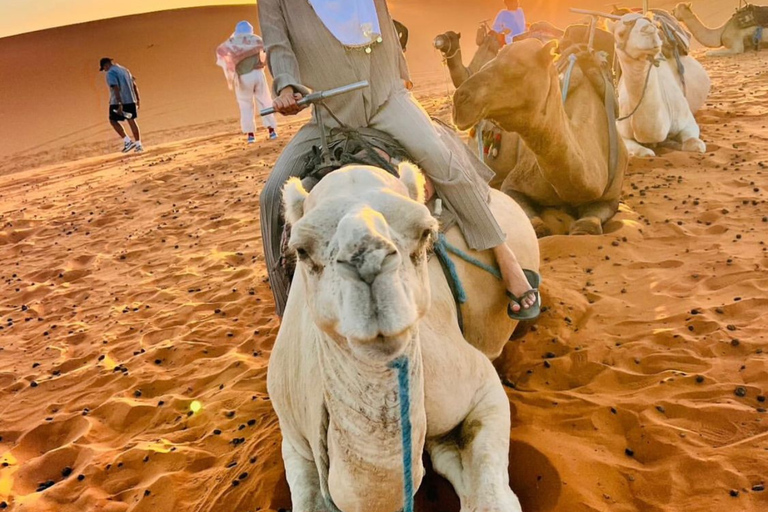 Marrakech: 3-Day Merzouga Desert Tour with Luxury Camp Private Tour – Your Group Only