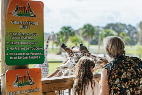 Orlando: Drive-Thru Safari Park i Wild Florida