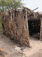 Makasutu Cultural Forest - Housity