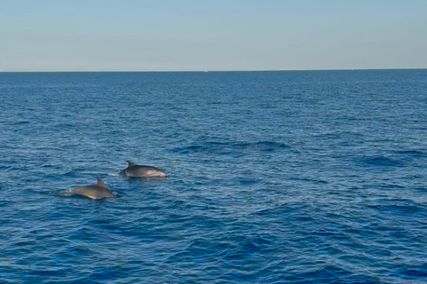 Lampedusa: Sunset Gulet Trip with Aperitif Dinner and Dolphin Watching