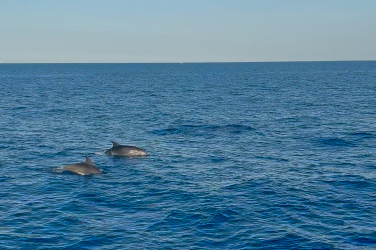Lampedusa: Sunset Gulet Trip with Aperitif Dinner and Dolphin Watching