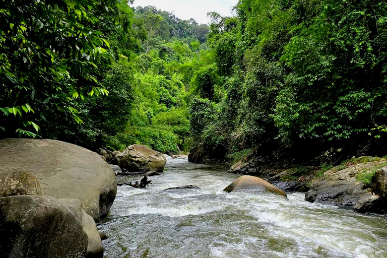 Khao Sok: Half-Day & Night Wildlife Trek and Jungle Dinner Option 6: Half-Day & Night Trek with Dinner From Khao Lak