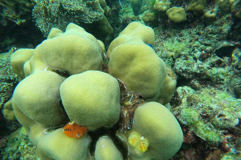 Ko Lanta: Smaragdhöhle und 4 Inseln Tour mit dem Longtailboot