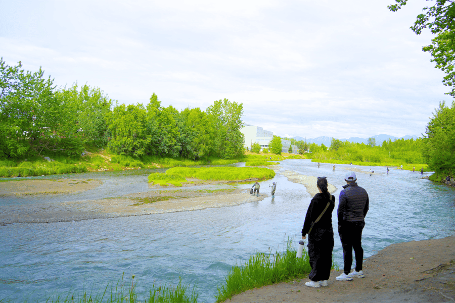 Lachsabenteuer in Anchorage= Brutstätte+Schiffsbach+ Lachs ansehen. Foto: GetYourGuide