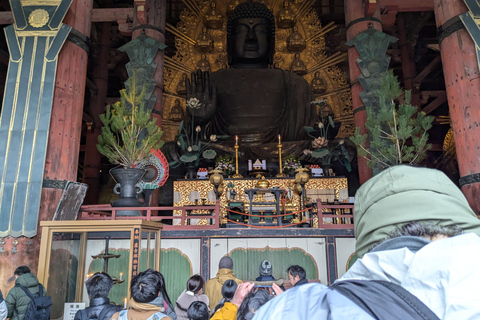 Private Nara Tour: UNESCO Heritage Sites & Deer Park Tour