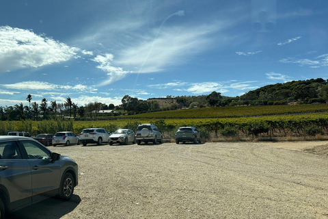 Barossa Wine, Gin & Artisan Flavors with Scenic Indulgence