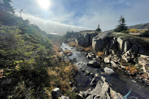 Skagway: Yukon Suspension Bridge & White Pass Scenic Tour