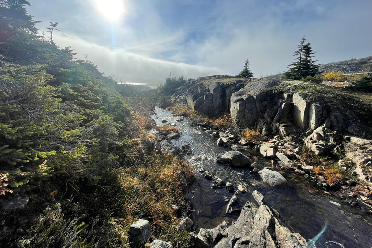 Skagway: Yukon Suspension Bridge & White Pass Scenic Tour