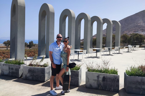 Santorini: tour per piccoli gruppi di 3 cantine locali