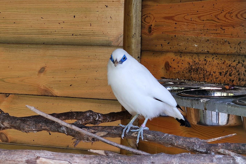 Bird Island sweet west tour