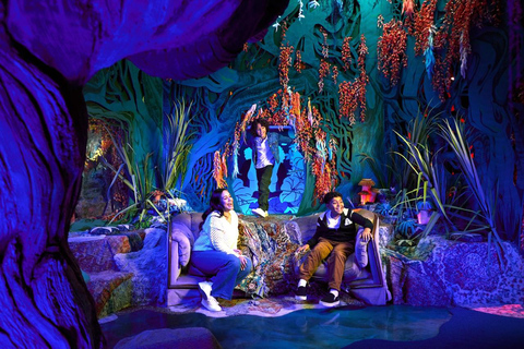 Grapevine: Il biglietto d&#039;ingresso di Meow Wolf The Real Unreal