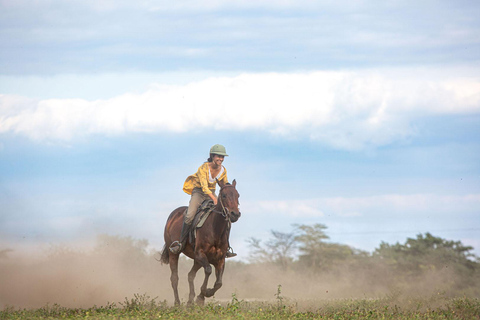 Arusha: Paseo a caballo y puesta de sol