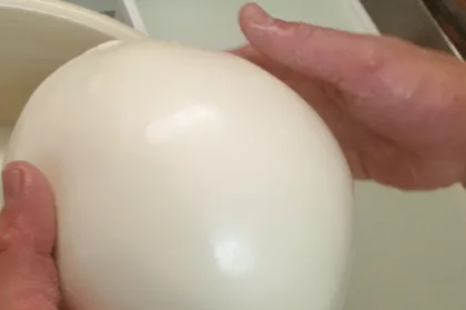 MOZZARELLA MIT DEN EIGENEN HÄNDEN, ERLEBNIS AUF DEM BAUERNHOF