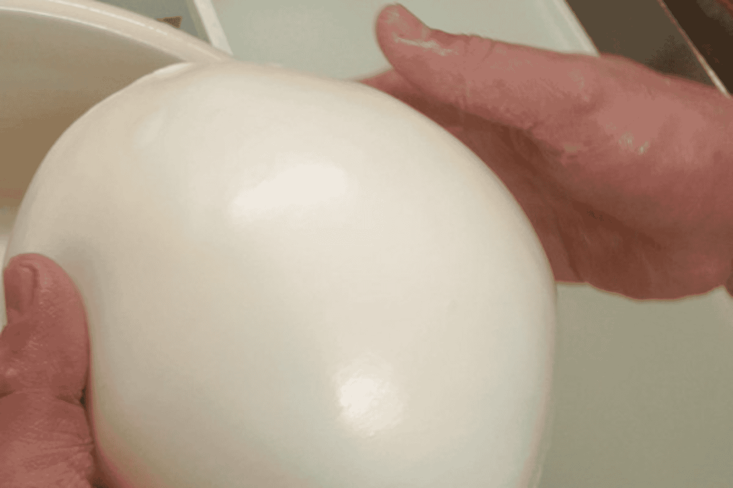 亲手制作莫扎里拉：农场体验之旅