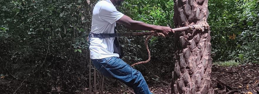 Forêt culturelle de Makasutu