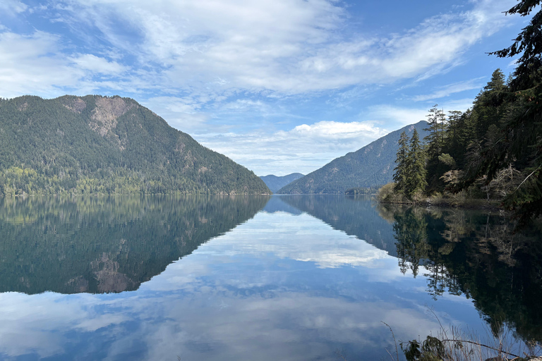 Tour Olympic National Park: Mountains, Lake, and Rainforest