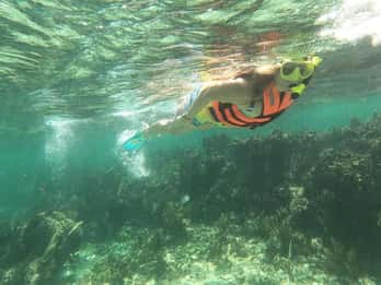 Puerto Morelos: Guided Snorkeling Tour with Gear & Fees
