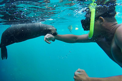 La Paz: Espíritu Santo Island, Balandra Beach, and Sea Lions – All-Inclusive La Paz: Espíritu Santo Island and Balandra, All-Inclusive