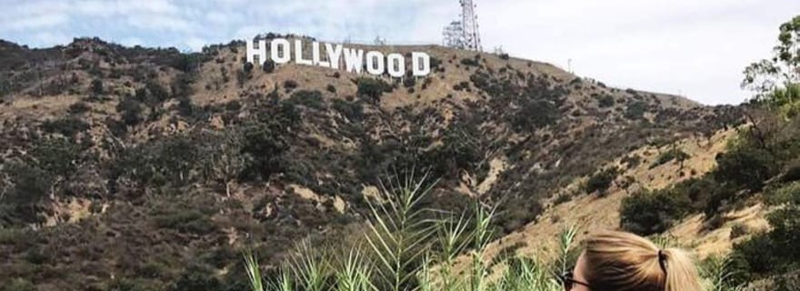 Los Angeles : visite privée d'une demi-journée de la ville