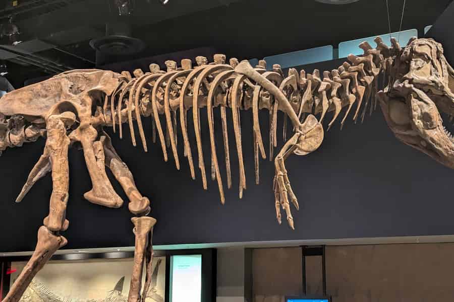 Geführte Tour durch Drumheller: Von Calgary zu den Dinosaurier-Badlands-Hoodoos. Foto: GetYourGuide Geführte Tour durch Drumheller: Von Calgary zu den Dinosaurier-Badlands-Hoodoos. Foto: GetYourGuide