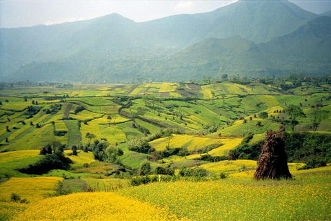 Explore Kathmandu’s Hidden Heritage: Kirtipur & Chobar