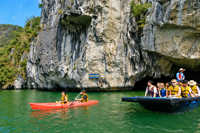 Hanoi: Ha Long Bay Scenic Day Cruise, Cave, Kayak & Titop Hanoi Pickup - Standard Cruise - Set Menu Lunch