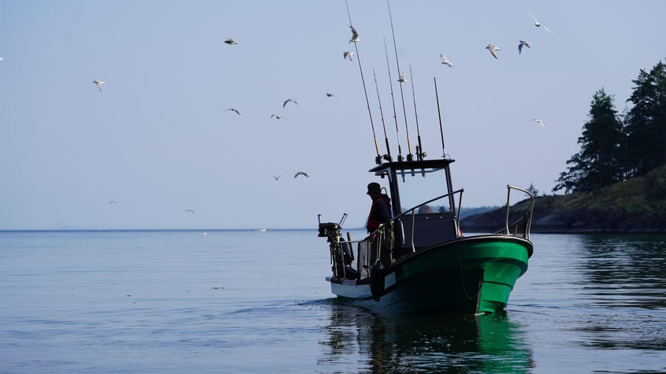 Campbell River: Private Fishing Charter with Local Guide