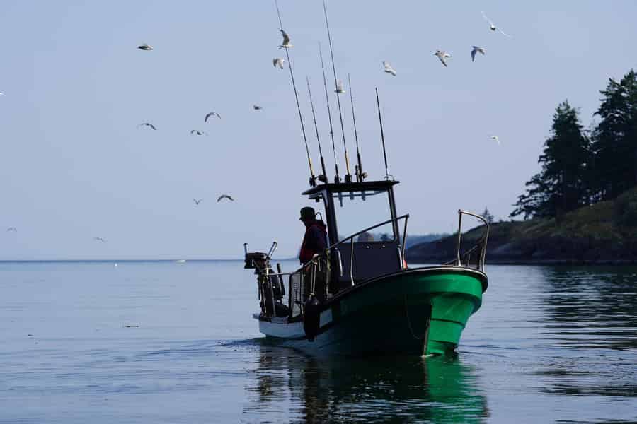 Campbell River – Angelcharter: familien- und budgetfreundlich. Foto: GetYourGuide