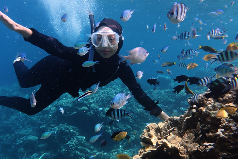 Lombok: 3 Gili Snorkeling Trip with Turtles, Statues & GoPro Starting from Lombok (Round trip Hotel transfer)