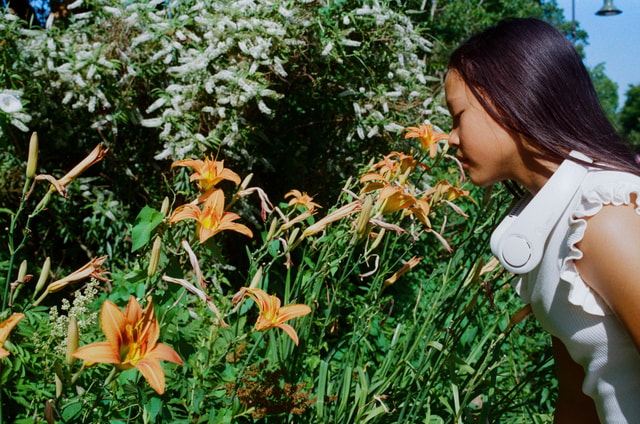 Monet's Giverny & Impressionism Private Tour