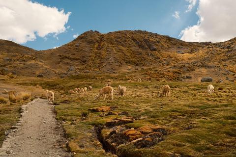From Cusco: Ausangate 7 Lakes Horseback Riding In Group